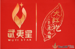 武夷星：打造一流茶业品牌