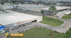 央视财经频道聚焦漳州蘑菇：同发集团与农户共建工厂化蘑菇种植菇房 带动产业转型升级