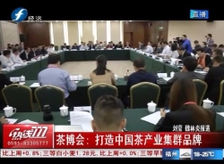 福建经视报道：打造中国茶产业集群品牌——中国茶叶产业集群品牌发展研讨会
