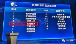 “武夷岩茶”品牌价值697.53亿！高居全国茶类第二位!