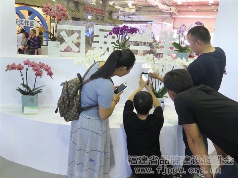 IMG_7926_wps图片_副本