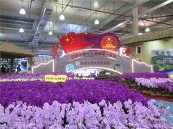 第十一届农博会·第二十一届花博会在福建漳州开幕
