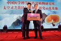 创出灵芝产业新天地