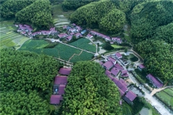 际岭村：打好“旅游牌”  村富民增收
