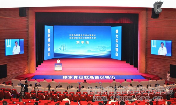 中国品牌建设促进会理事长刘平均作主旨演讲_副本_副本