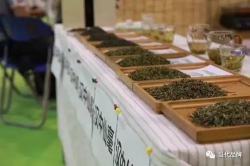 武夷岩茶优势特色产业集群获中央财政补助资金1亿元