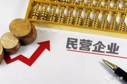 政策支持多管齐下 打好“十四五”民营经济开局战