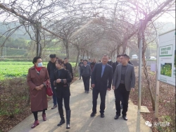 打造“武夷山水” 实现点绿成金——福建省品牌建设促进会赴南平市开展“武夷山水”区域公用品牌爆款产品策划项目调研工作