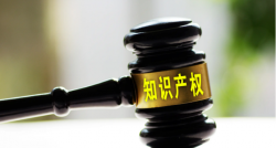 知识产权保护工作，总书记高度重视