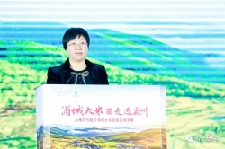 青山绿水绘长卷 魅力浦城谱新篇——访浦城县人民政府副县长何秀菊