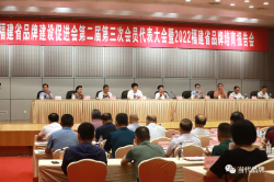 福建省市场监督管理局副局长刘先义：实施品牌战略 引领高质量发展