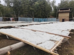 建阳：红薯粉丝打开致富新“丝”路