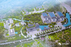 福建瑞和白茶庄园：践行三茶统筹理念 书写高质量发展答卷