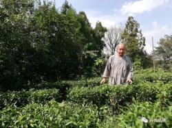 九莲红禅茶：撷得天地草木心 共享人间芳菲趣