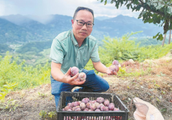 “福建李”的突围之路