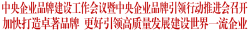 中央企业品牌建设工作会议暨中央企业品牌引领行动推进会召开