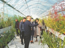 “科技村落”长成记——我省在全国首创科技赋能村庄建设模式，实施全产业链技术集成创新与示范推广，整村推进科技进步，探索科技特派员集团服务工作机制