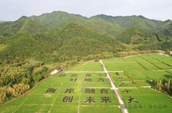 践行“两山”理论 建设品牌邵武助力高质量发展