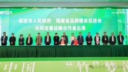 双向奔赴！福建省品牌建设促进会与邵武市人民政府签署品牌战略合作备忘录