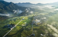 乘山水之势 共绘绿色食品好“丰”景