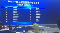 点赞！政和白茶、政和工夫双双荣登区域品牌（地理标志）榜单 ！