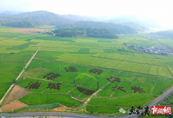 灵山秀水出好米，“浦城大米”展丰景