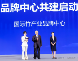 从品牌价值评价，探究一根“竹”的进阶之路！