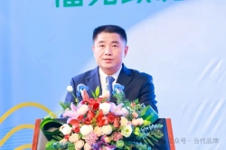 “三茶”融出大产业 “一片叶”绘就振兴画卷——访中共政和县委书记黄拔荣