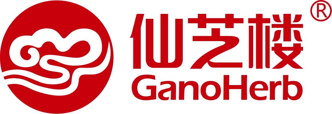 logo_xzl