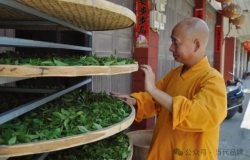 九莲红禅茶：品禅茶一味 享人间芳菲