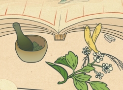 世界传统医药日｜传承中医药传统文化，片仔癀与你同行