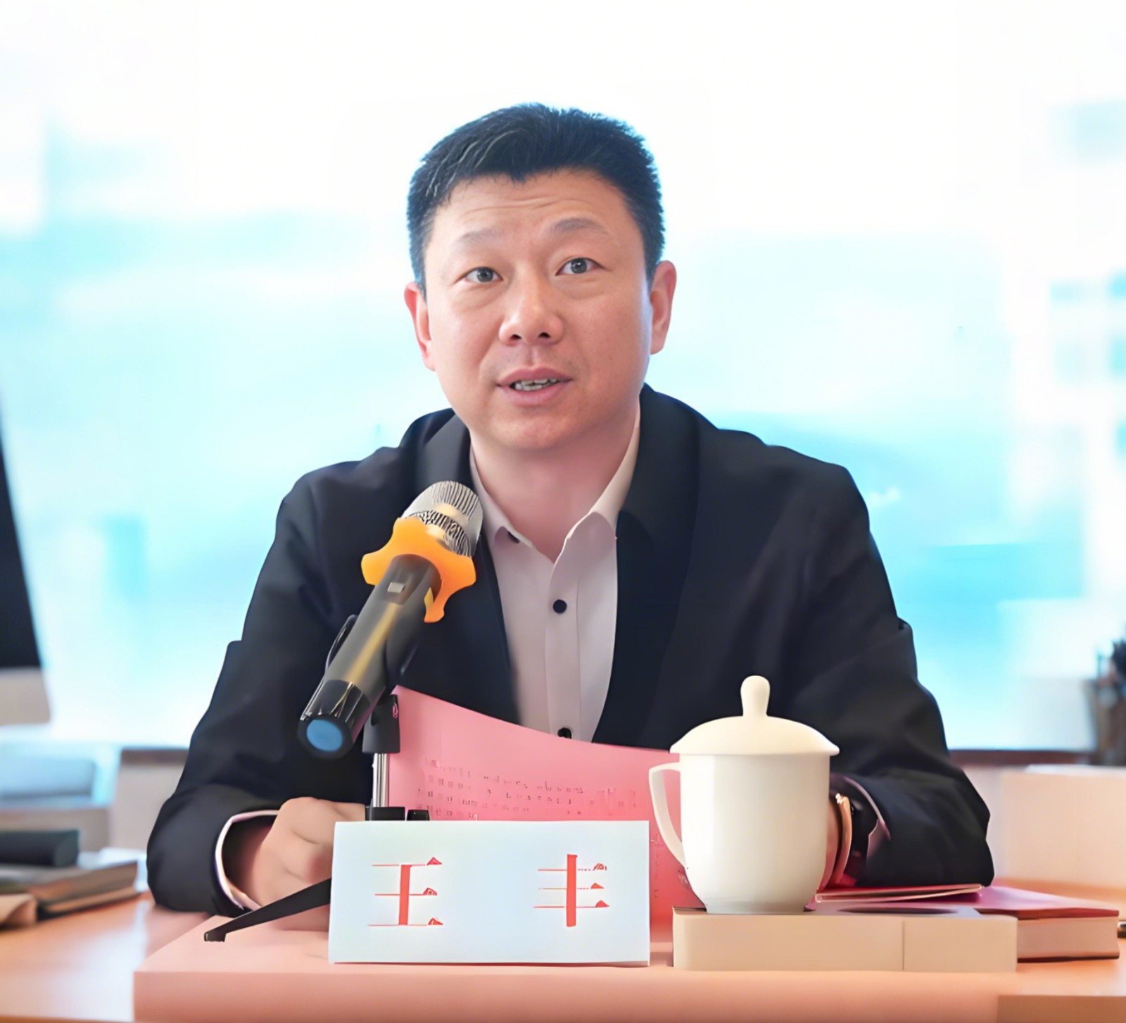 中共政和县委副书记、县人民政府县长 王丰