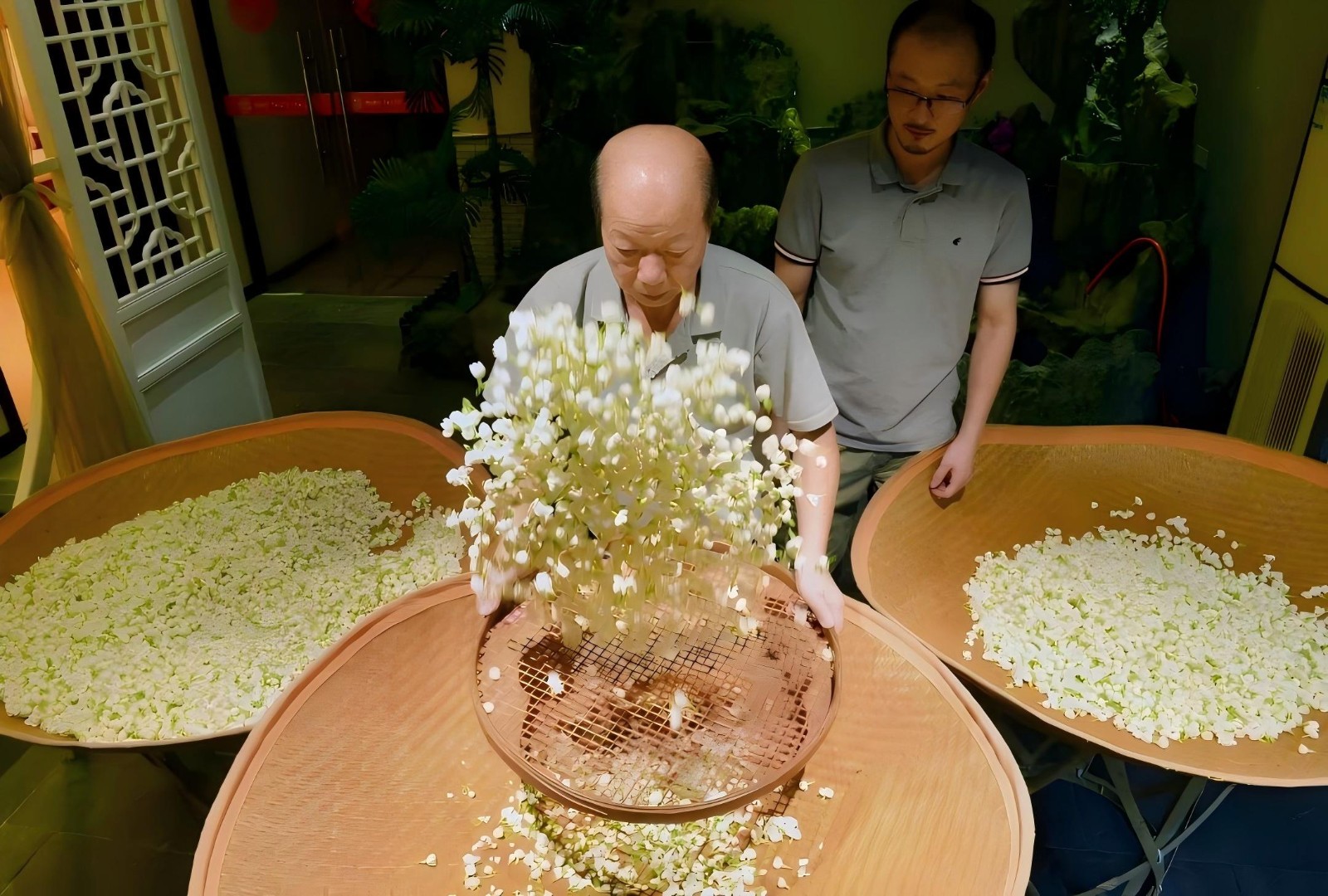 福州茉莉花茶窨制工艺