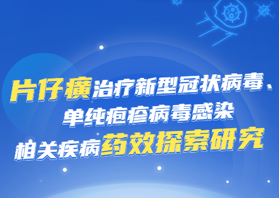 片仔癀治疗新型冠状病毒、单纯疱疹病毒感染相关疾病药效探索研究