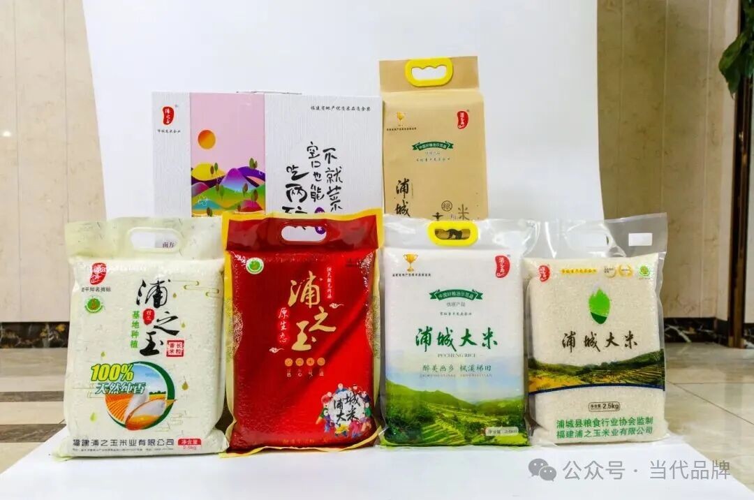 浦之玉米业：深耕一方沃土 写好“粮”心文章