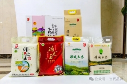 浦之玉米业：深耕一方沃土 写好“粮”心文章