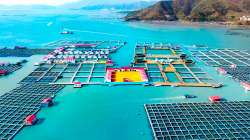 强化知识产权支撑 助力海洋经济高质量发展——宁德市知识产权规划编制课题组赴霞浦调研