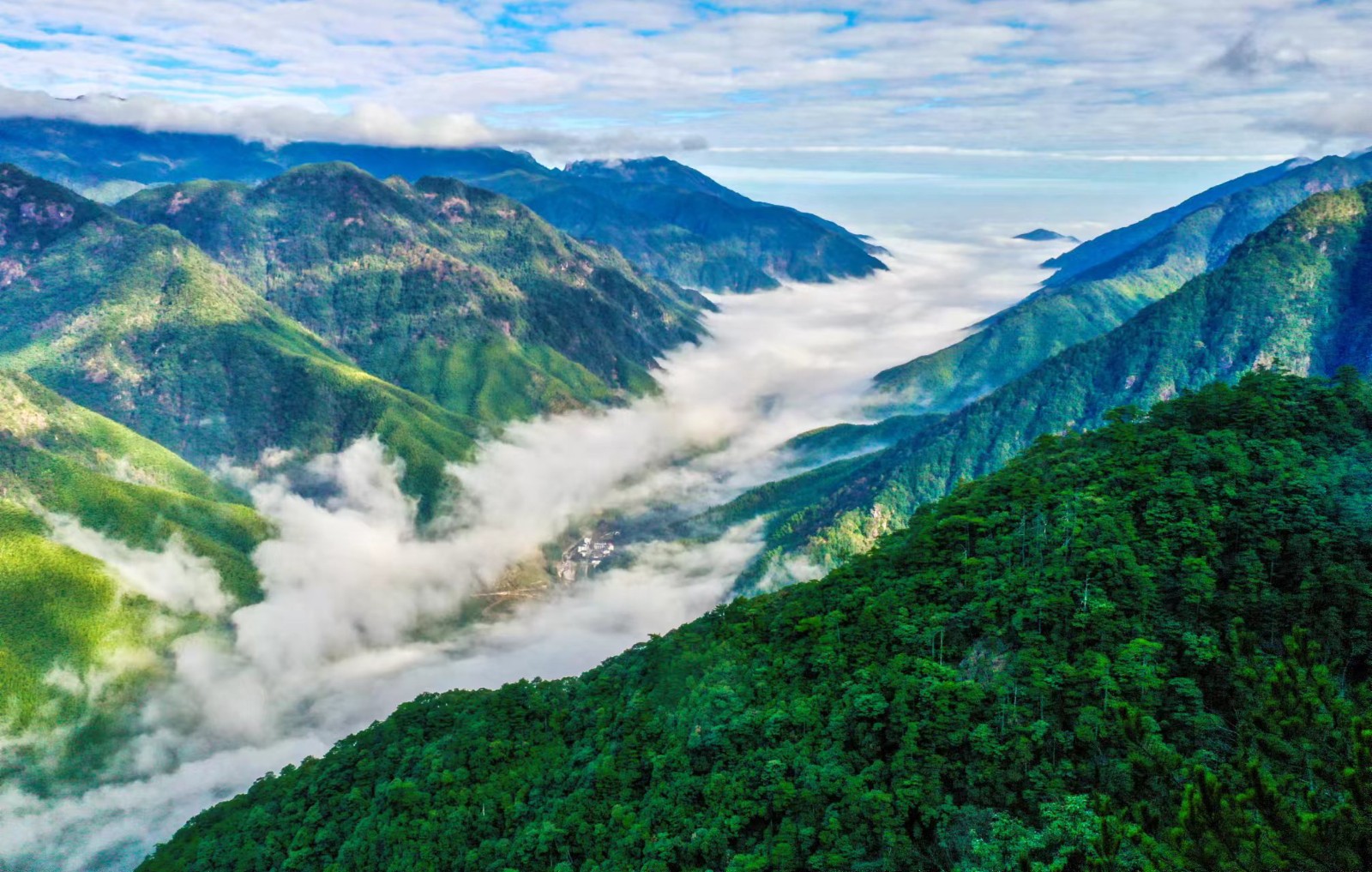 武夷山国家公园 黄海摄